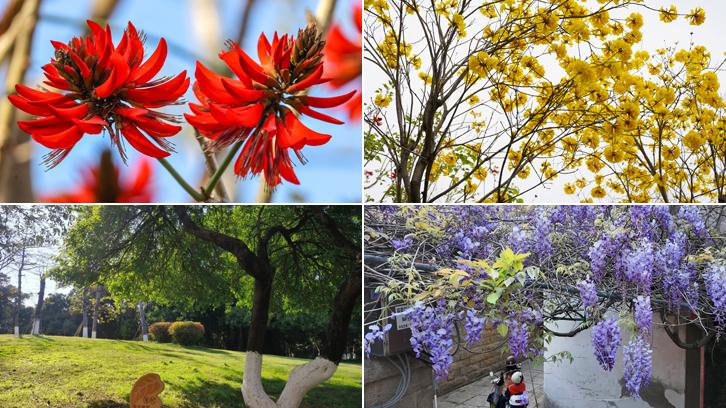 春色无限好，泉州邀您体验旅行新潮流——色彩漫步 “收集”春天