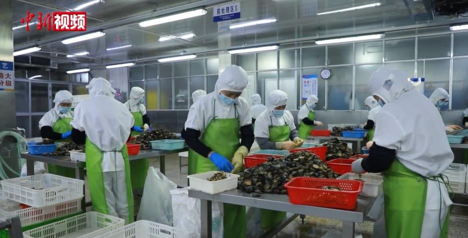 福建：发力鲍鱼精深加工