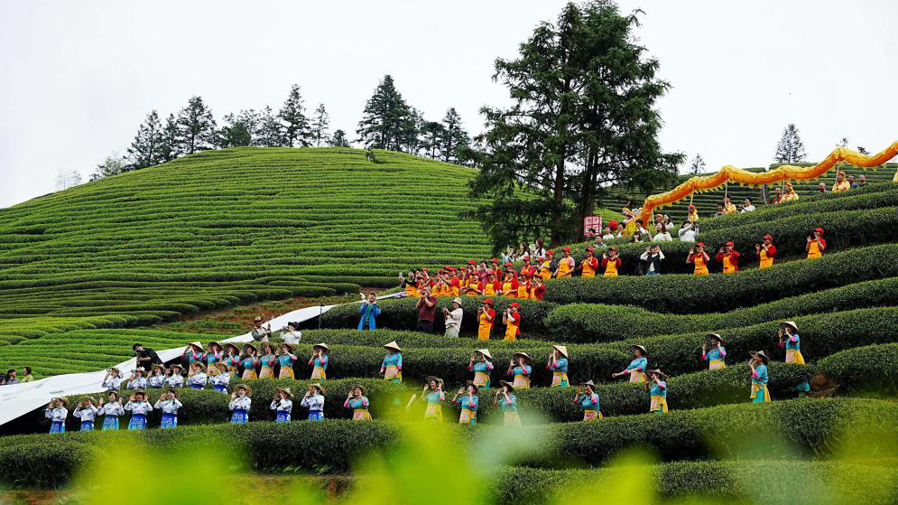 福建武夷山：两岸茶人 共叙茶缘
