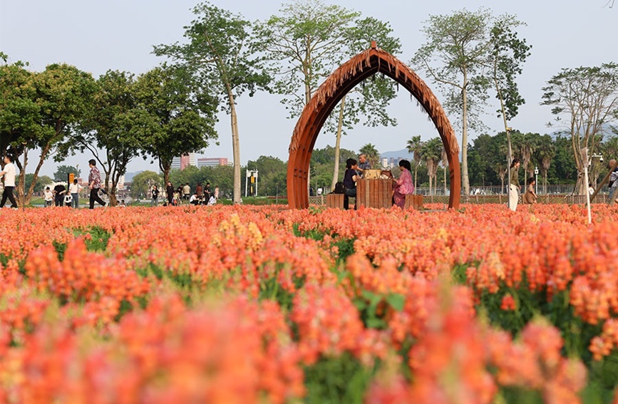 福建漳州这片“花花世界”藏不住了！